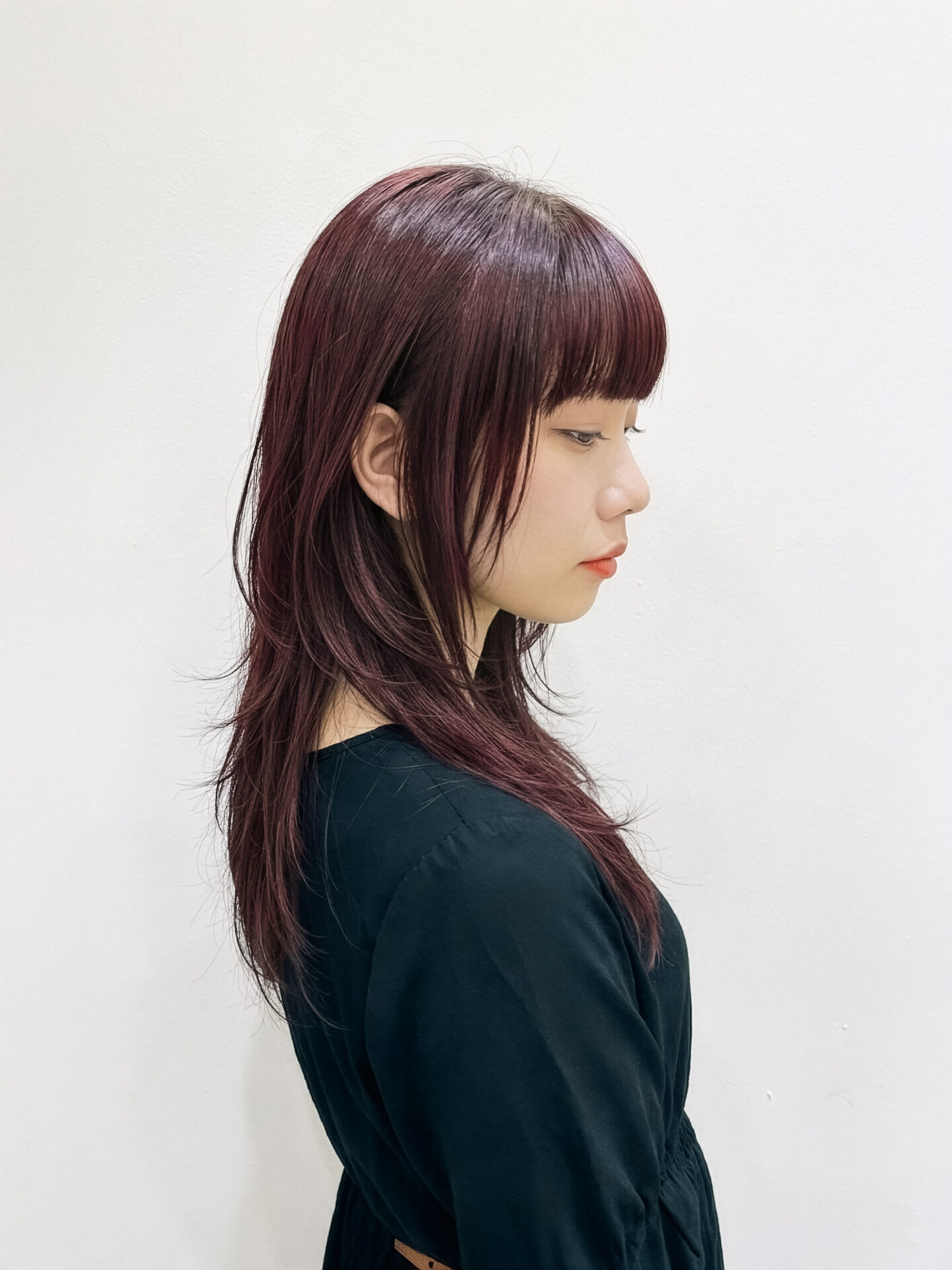 ダブルカラー ボルドー